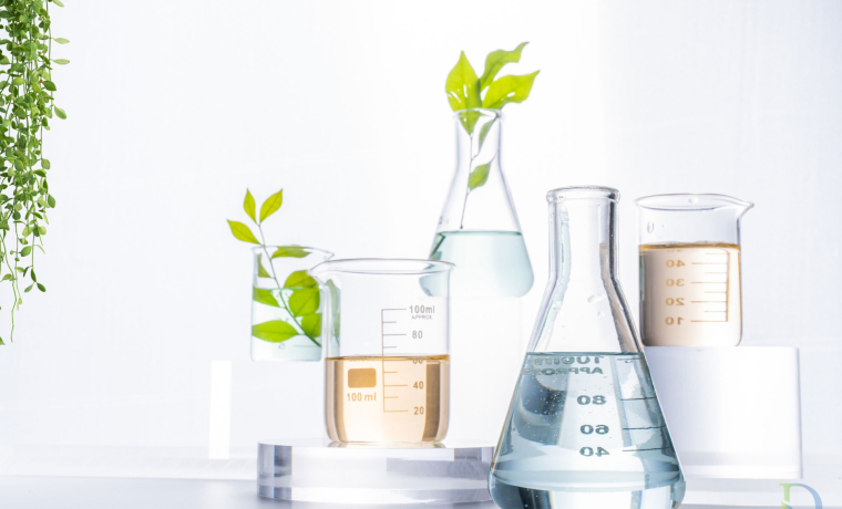 phát triển công thức