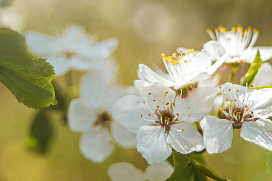 CÂU CHUYỆN CỦA CHÚNG TÔI