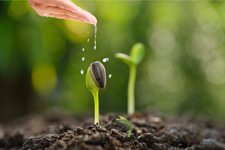 Giá trị cốt lõi 